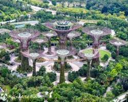 The walk through the Bay gardens is filled with enormous beautiful super trees structures and alluring architecture of the park is worth to experience